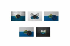 Backgrounds for Photography & Marketing. San Marino Product Image 9