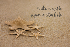 Sanibel Script Product Image 3