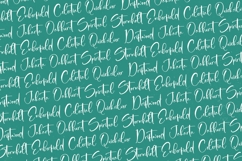 Sanitizer Eticulate - Stylish Handwritten Font Product Image 12