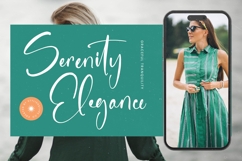 Sanitizer Eticulate - Stylish Handwritten Font Product Image 15