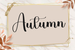 Santa Briliant Product Image 4