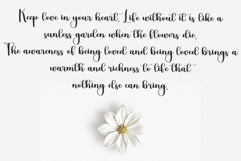 Santa Briliant Product Image 6