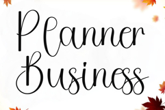 Santa Cataline Product Image 3