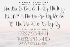 Santa Cataline Product Image 4