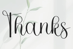 Santa Cataline Product Image 7