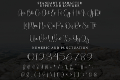 Santa Christmas Product Image 5