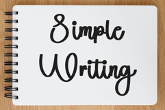 Santa Delighful Product Image 3