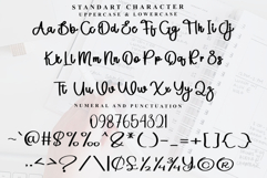 Santa Delighful Product Image 4