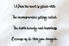 Santa Delighful Product Image 5