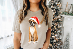 Holiday Boxer PNG illustrated with softly blended brush texture, realistic breed markings and a traditional Santa hat. No wording is included in the purchased design.