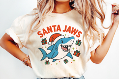 Funny Sarcastic Christmas PNG, Sublimation BUNDLE. Product Image 6