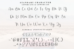 Santa Sometimes Product Image 5