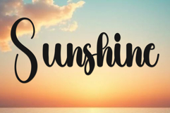 Santa Wedding Product Image 3