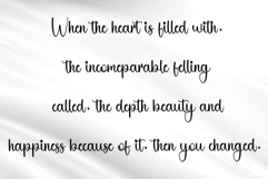 Santa Wonderful Product Image 4