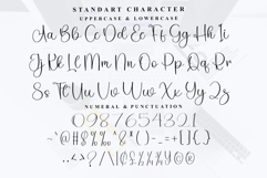 Santanight Product Image 5