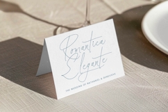 Santiago Portale - Stylish Signature Font Product Image 15