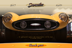 Sanvilo Product Image 12