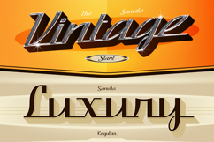 Sanvilo Product Image 4