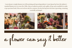 Saphina Journie Product Image 7