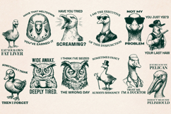 Sarcastic Bird SVG Bundle, 12 Funny Weird Animal PNG Designs Product Image 2