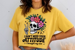 Sarcastic PNG, I Don't Need Your Attitude PNG, Funny Adult Product Image 4