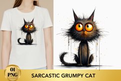 Sarcastic Funny Grumpy Cat, Cat sublimation Product Image 1