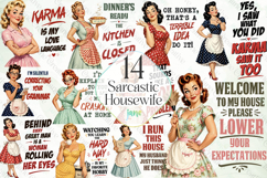 Sarcastic Housewife Bundle Product Image 1