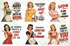Sarcastic Housewife Bundle Product Image 2