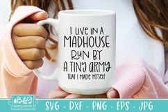 I Live In A Madhouse - Funny Mom Quote Sarcastic SVG Product Image 3