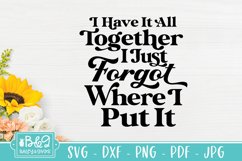 Have It All Together Funny Quote Sarcastic SVG Cut File Product Image 2