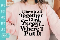 Have It All Together Funny Quote Sarcastic SVG Cut File Product Image 3