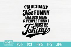 Not Funny I'm Just Mean - Funny Cut File - Sarcastic SVG Product Image 2