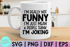 I&#039;m Not Really Funny I&#039;m Just Mean SVG, Funny Quote SVG Product Image 1