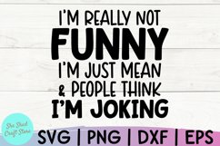 I&#039;m Not Really Funny I&#039;m Just Mean SVG, Funny Quote SVG Product Image 2