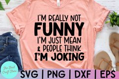 I&#039;m Not Really Funny I&#039;m Just Mean SVG, Funny Quote SVG Product Image 4