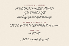 Sartyan Canish Aesthetic Dry Brush Signature Font Product Image 6