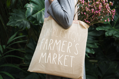 Sassafras Sans Product Image 6