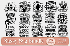 Sassy Designs Svg Bundle Product Image 1