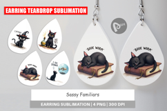 Sassy Familiars Earring Product Image 1
