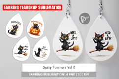 Sassy Familiars Earring Product Image 1