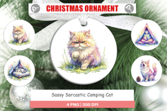 Sassy Camping Cat Ornament Product Image 1