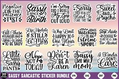 Sassy, Sarcastic Sticker Bundle Sassy Quotes Sticker Bundle Product Image 1