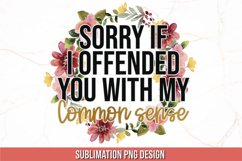 Sarcastic Sublimation Bundle | Sassy Sublimation PNG Product Image 6