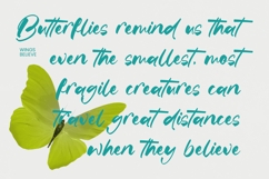 Satiate Ration - Bold Brush Font Product Image 3