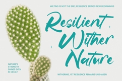 Satiate Ration - Bold Brush Font Product Image 7