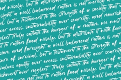 Satiate Ration - Bold Brush Font Product Image 12