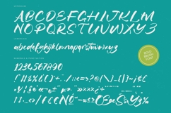 Satiate Ration - Bold Brush Font Product Image 18