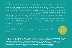 Satiate Ration - Bold Brush Font Product Image 19