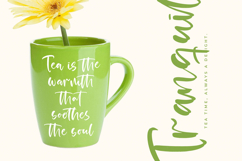 Satisfy Quirky - Modern Handbrush Font Product Image 2