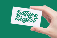 Sattyne Bregast Bold Brush Font Type Product Image 7
